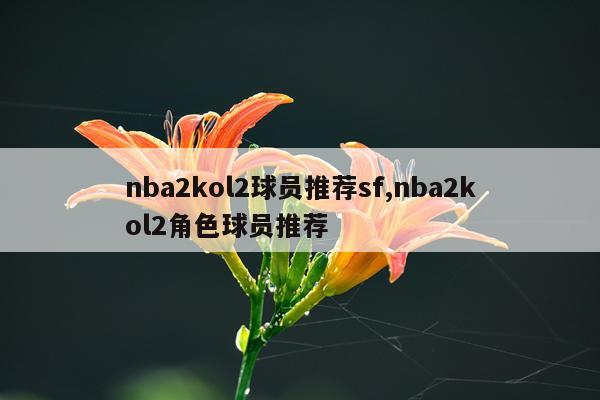 nba2kol2球员推荐sf,nba2kol2角色球员推荐