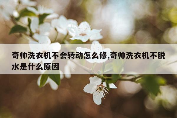 奇帅洗衣机不会转动怎么修,奇帅洗衣机不脱水是什么原因