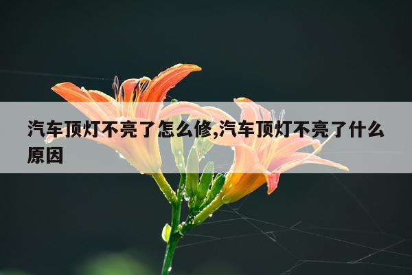 汽车顶灯不亮了怎么修,汽车顶灯不亮了什么原因