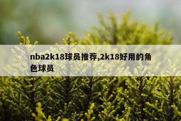 nba2k18球员推荐,2k18好用的角色球员