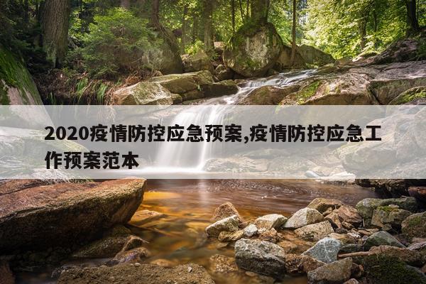 2020疫情防控应急预案,疫情防控应急工作预案范本