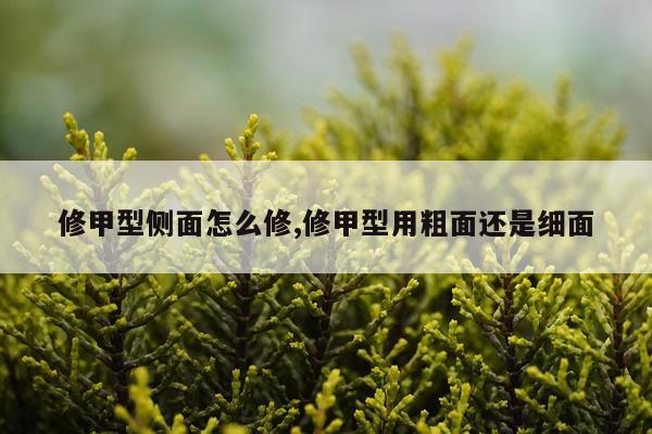 修甲型侧面怎么修,修甲型用粗面还是细面