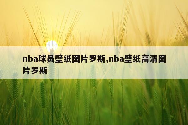 nba球员壁纸图片罗斯,nba壁纸高清图片罗斯