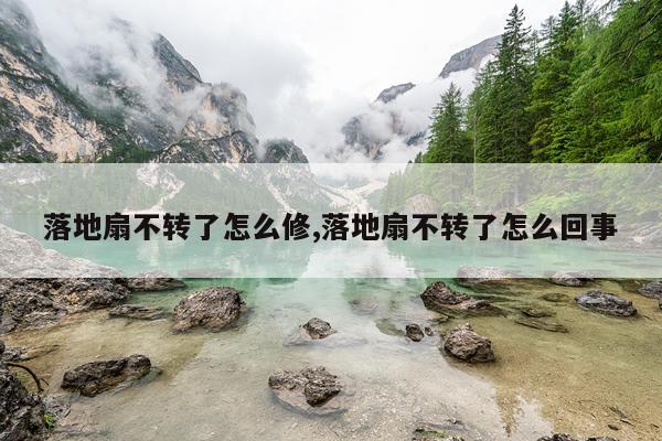 落地扇不转了怎么修,落地扇不转了怎么回事