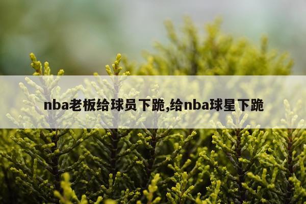 nba老板给球员下跪,给nba球星下跪