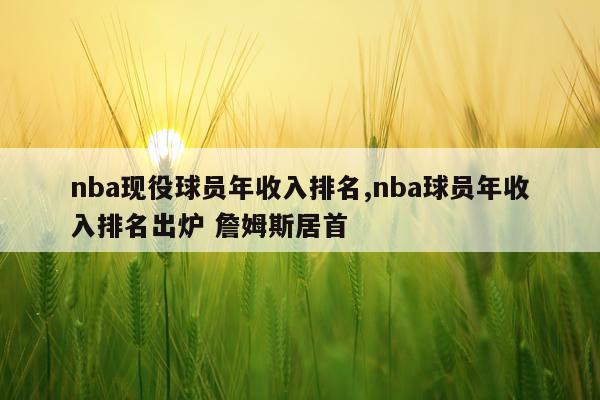 nba现役球员年收入排名,nba球员年收入排名出炉 詹姆斯居首