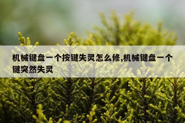 机械键盘一个按键失灵怎么修,机械键盘一个键突然失灵