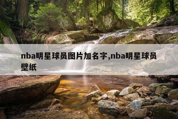 nba明星球员图片加名字,nba明星球员壁纸