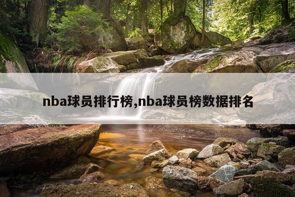 nba球员排行榜,nba球员榜数据排名