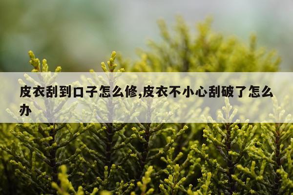 皮衣刮到口子怎么修,皮衣不小心刮破了怎么办