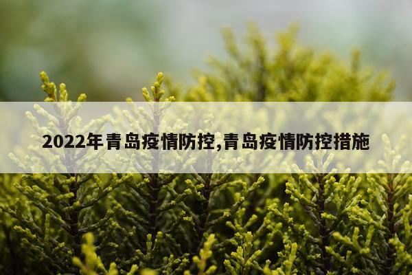 2022年青岛疫情防控,青岛疫情防控措施