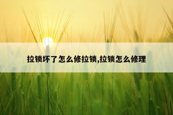 拉锁坏了怎么修拉锁,拉锁怎么修理
