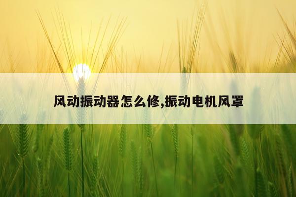 风动振动器怎么修,振动电机风罩