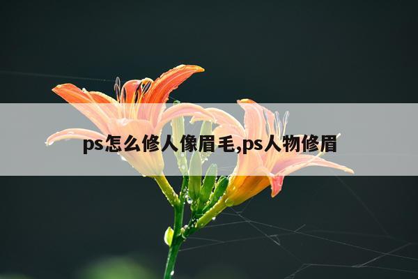 ps怎么修人像眉毛,ps人物修眉