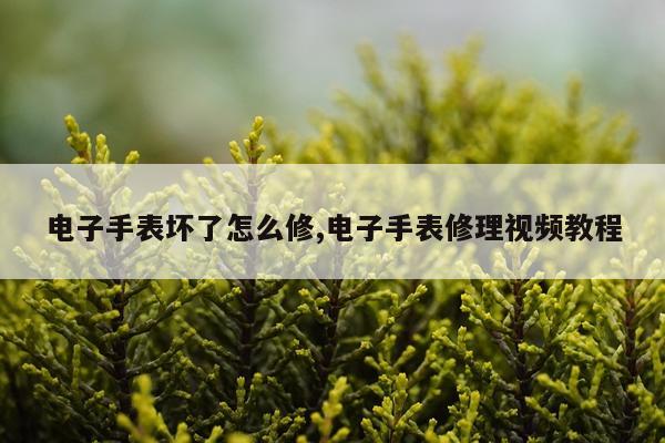 电子手表坏了怎么修,电子手表修理视频教程