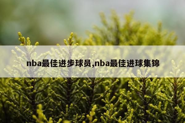 nba最佳进步球员,nba最佳进球集锦