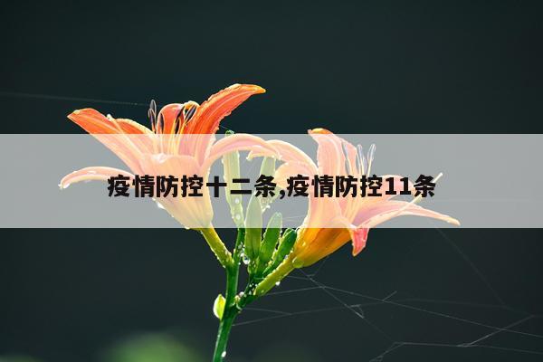 疫情防控十二条,疫情防控11条