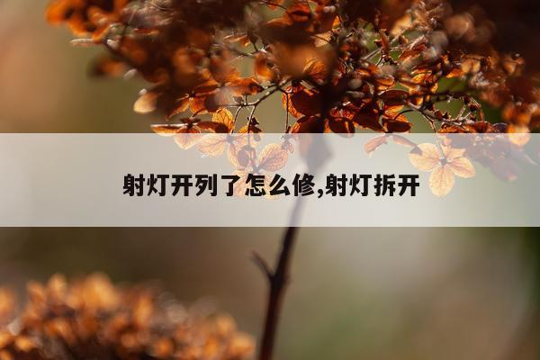 射灯开列了怎么修,射灯拆开