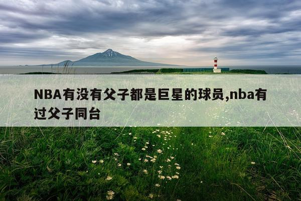 NBA有没有父子都是巨星的球员,nba有过父子同台