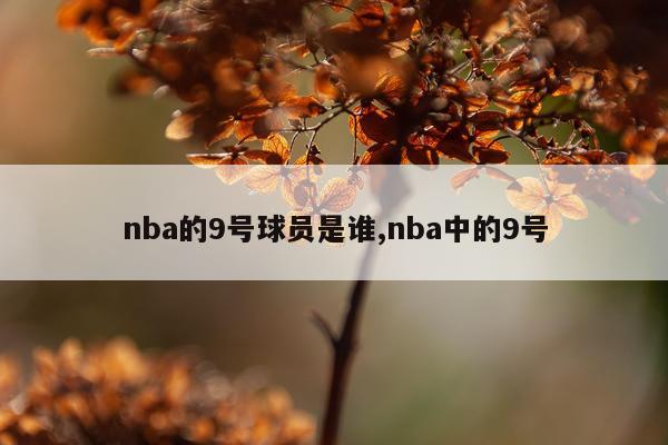 nba的9号球员是谁,nba中的9号