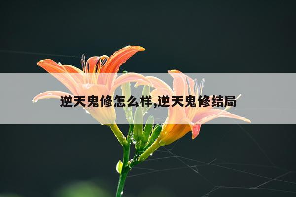 逆天鬼修怎么样,逆天鬼修结局