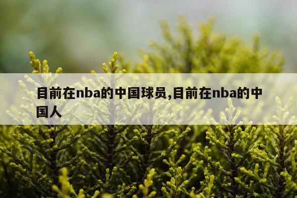 目前在nba的中国球员,目前在nba的中国人