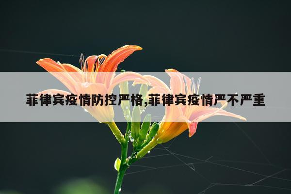 菲律宾疫情防控严格,菲律宾疫情严不严重