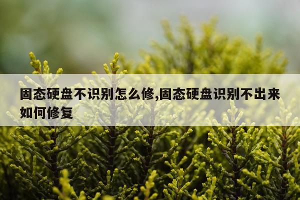 固态硬盘不识别怎么修,固态硬盘识别不出来如何修复