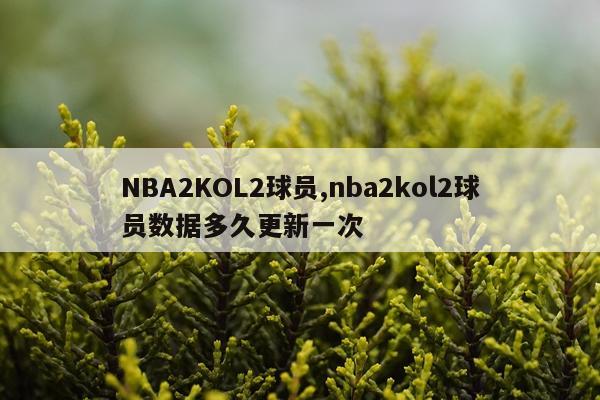 NBA2KOL2球员,nba2kol2球员数据多久更新一次