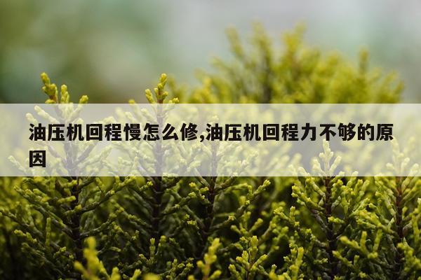 油压机回程慢怎么修,油压机回程力不够的原因