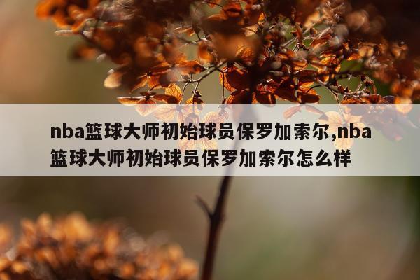 nba篮球大师初始球员保罗加索尔,nba篮球大师初始球员保罗加索尔怎么样
