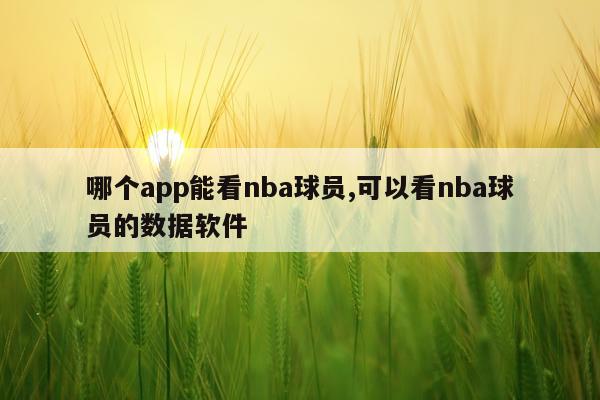 哪个app能看nba球员,可以看nba球员的数据软件