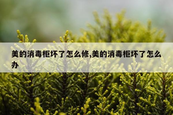 美的消毒柜坏了怎么修,美的消毒柜坏了怎么办