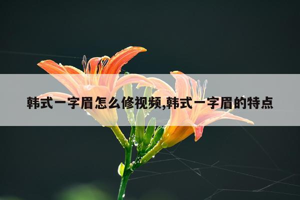 韩式一字眉怎么修视频,韩式一字眉的特点