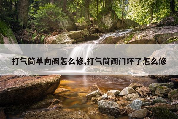 打气筒单向阀怎么修,打气筒阀门坏了怎么修