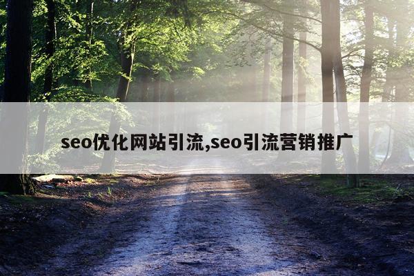 seo优化网站引流,seo引流营销推广