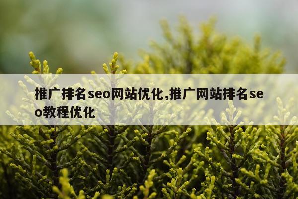 推广排名seo网站优化,推广网站排名seo教程优化