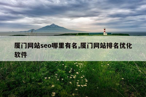 厦门网站seo哪里有名,厦门网站排名优化软件
