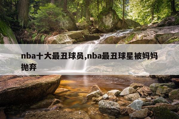 nba十大最丑球员,nba最丑球星被妈妈抛弃