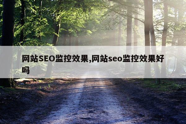 网站SEO监控效果,网站seo监控效果好吗