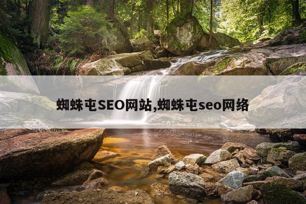 蜘蛛屯SEO网站,蜘蛛屯seo网络