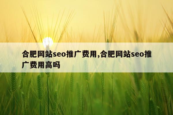 合肥网站seo推广费用,合肥网站seo推广费用高吗