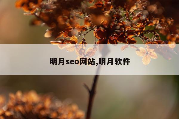 明月seo网站,明月软件