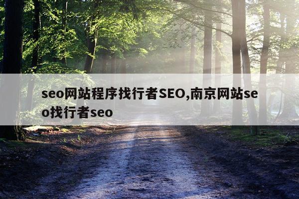 seo网站程序找行者SEO,南京网站seo找行者seo