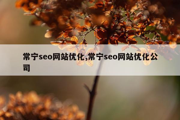 常宁seo网站优化,常宁seo网站优化公司