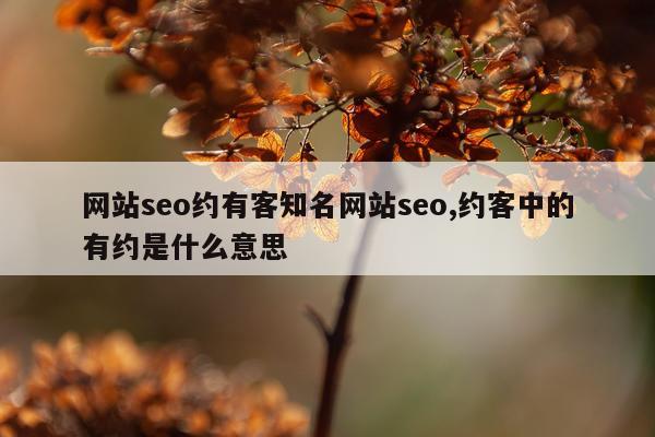 网站seo约有客知名网站seo,约客中的有约是什么意思