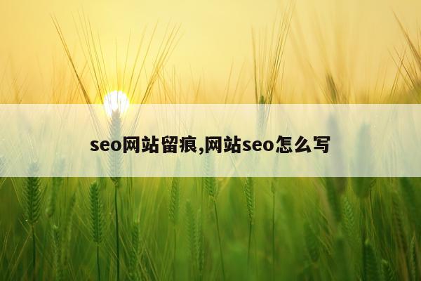 seo网站留痕,网站seo怎么写