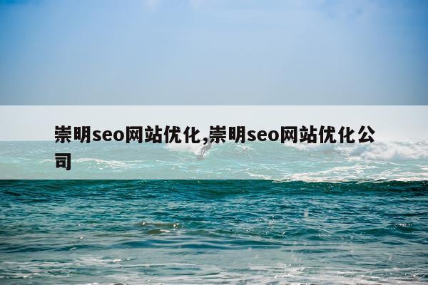 崇明seo网站优化,崇明seo网站优化公司