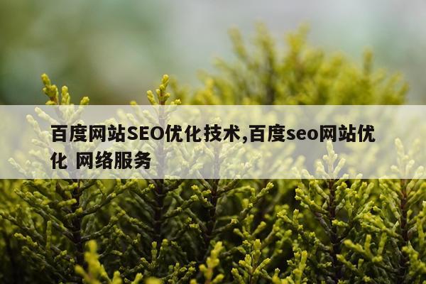 百度网站SEO优化技术,百度seo网站优化 网络服务