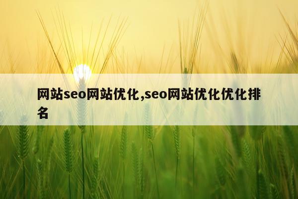 网站seo网站优化,seo网站优化优化排名